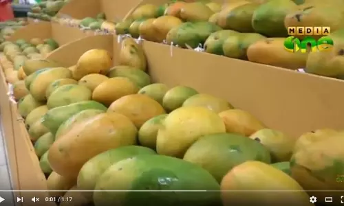 ലുലു ഗ്രൂപ്പ് ഹൈപ്പര്‍ മാര്‍ക്കറ്റുകളില്‍ മാമ്പഴക്കാലം