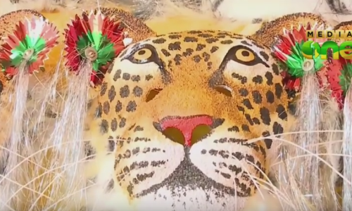 പുലിക്കളിക്കായി പൂരനഗരി ഒരുങ്ങുന്നു