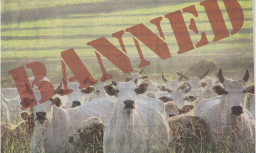 ബീഫ് നിരോധം;  മഹാരാഷ്ട്ര സര്‍ക്കാരിന് സുപ്രീം കോടതി നോട്ടീസ്