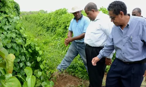 പ്രവാസികളുടെ സഹകരണത്തോടെ കേരളത്തില് 15 അഗ്രോപാര്ക്കുകള് ആരംഭിക്കുമെന്ന് വി.എസ് സുനില് കുമാര് പ്രവാസികളുടെ സഹകരണത്തോടെ കേരളത്തില് 15 അഗ്രോപാര്ക്കുകള് ആരംഭിക്കുമെന്ന് വി.എസ് സുനില് കുമാര്