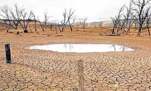 രാജ്യത്തെ വരള്‍ച്ച നേരിടാന്‍ പദ്ധതികള്‍ നടപ്പാക്കേണ്ടത് കേന്ദ്രമെന്ന് സുപ്രീം കോടതി