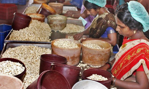 സ്വകാര്യ കശുവണ്ടി ഫാക്ടറികളിലെ തൊഴിലാളികള്‍ക്ക് 8500 രൂപ ബോണസ്