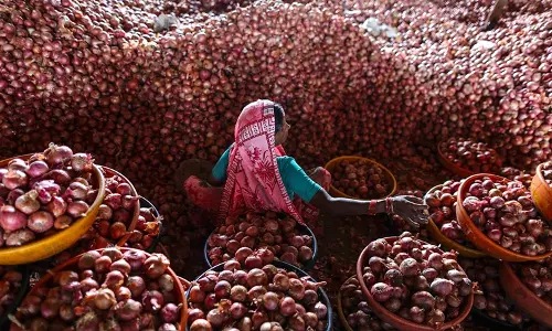 ഒരു കിലോ ഉള്ളിക്ക് കര്‍ഷകന് ലഭിക്കുന്ന വില 50 പൈസ; ആത്മഹത്യയല്ലാതെ വഴിയില്ലെന്ന് കര്‍ഷകര്‍