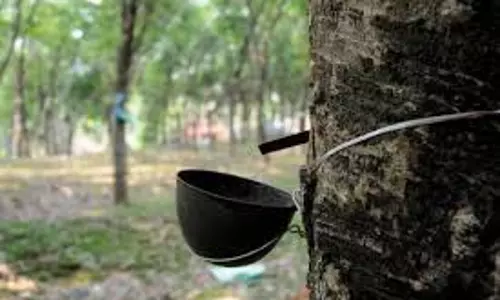 ബിജു രമേശിന് കേന്ദ്ര തെരഞ്ഞെടുപ്പ് കമ്മീഷന്റെ പരസ്യശാസന