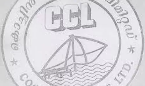 ബോണസില്ല; കൊച്ചി സിമന്‍റ്സിലെ തൊഴിലാളികള്‍ സമരത്തില്‍