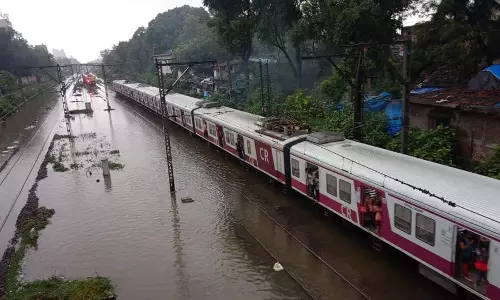 മുംബൈയില് കനത്ത മഴ; എം ജി റോഡില് മരം വീണ് രണ്ട് പേര് മരിച്ചു മുംബൈയില് കനത്ത മഴ; എം ജി റോഡില് മരം വീണ് രണ്ട് പേര് മരിച്ചു