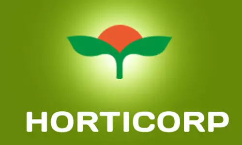 ഹോട്ടികോര്‍പ്പിന്റെ ഇടപെടല്‍ കര്‍ഷകര്‍ക്ക് ആശ്വാസമാകുന്നു