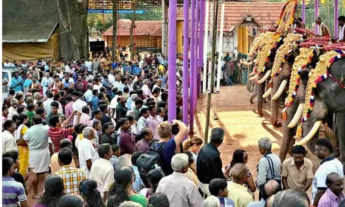 മഹാബലിയെ വരവേറ്റ് തൃക്കാക്കരയില് പകല്പൂരം മഹാബലിയെ വരവേറ്റ് തൃക്കാക്കരയില് പകല്പൂരം