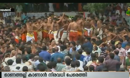 ശത്രുവിനെതിരെ പോരുവിളിച്ചതിന്റെ ഓര്‍മ പുതുക്കി പല്ലശ്ശനയില്‍ ഇക്കുറിയും ഓണത്തല്ല്