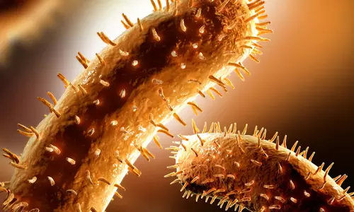 പേ വിഷബാധയുടെ ഭീതിയില്‍ പാലയാട്  ഗ്രാമം