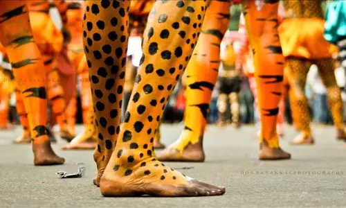 തൃശൂരിനെ വിറപ്പിക്കാന്‍ ഇത്തവണ പെണ്‍പുലികള്‍