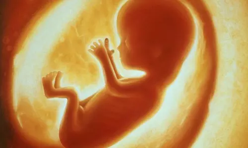 അട്ടപ്പാടിയില് ഗര്ഭസ്ഥശിശു മരിച്ചു അട്ടപ്പാടിയില് ഗര്ഭസ്ഥശിശു മരിച്ചു