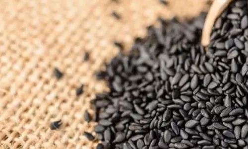 എള്ളോളമല്ല, കുന്നോളമുണ്ട് എള്ള് വിശേഷം