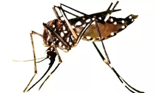 വയനാട് പകര്‍ച്ചവ്യാധികള്‍ പടരുന്നു