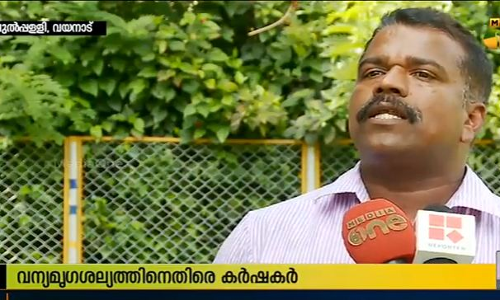 വന്യമൃഗശല്യത്തിനെതിരെ വയനാട്ടിലെ കര്ഷകര് നിയമനടപടിക്ക് വന്യമൃഗശല്യത്തിനെതിരെ വയനാട്ടിലെ കര്ഷകര് നിയമനടപടിക്ക്
