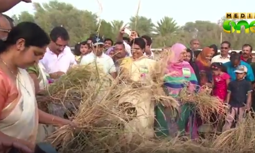 ഖത്തര്‍ മരുഭൂമിയില്‍ ജൈവ പച്ചക്കറിത്തോട്ടവുമായി അടുക്കളത്തോട്ടം