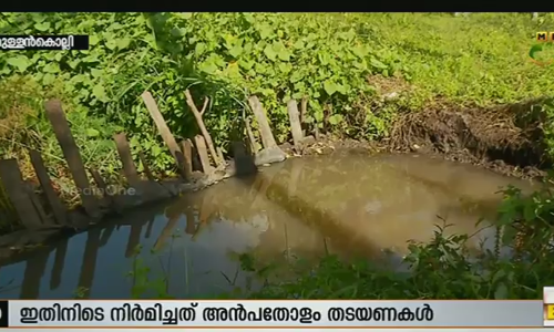 വരള്‍ച്ചയെ പ്രതിരോധിക്കാന്‍ തടയണകള്‍ തീര്‍ത്ത് മുള്ളന്‍കൊല്ലിക്കാര്‍