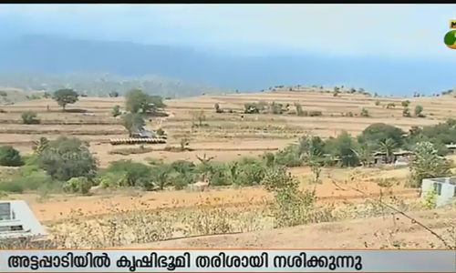 മഴയില്ല; പച്ചപ്പ് നഷ്ടമായി അട്ടപ്പാടി