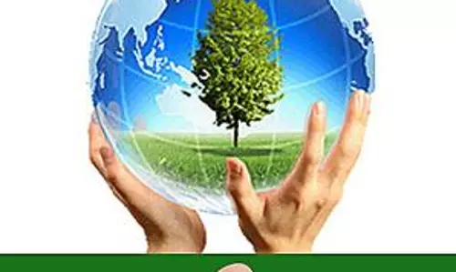 വോട്ടോര്‍മ്മയ്കായി വയനാട്ടിലെ വോട്ടര്‍മാര്‍ക്ക് വൃക്ഷത്തൈകള്‍