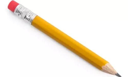 ഇലക്ടൂണ്സ്: ജനവിധി വരയില് ഇലക്ടൂണ്സ്: ജനവിധി വരയില്