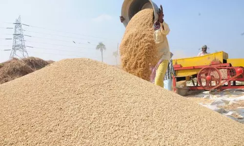 നെല്ല് സംഭരണം വൈകുന്നു; കര്‍ഷകര്‍ ആശങ്കയില്‍