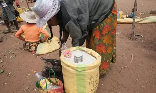 മഡഗാസ്കറിലെ 1.5 മില്യണ് ജനങ്ങള് വരള്ച്ച മൂലം പട്ടിണി നേരിടുന്നതായി യുഎന് റിപ്പോര്ട്ട് മഡഗാസ്കറിലെ 1.5 മില്യണ് ജനങ്ങള് വരള്ച്ച മൂലം പട്ടിണി നേരിടുന്നതായി യുഎന് റിപ്പോര്ട്ട്