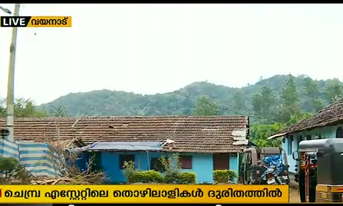 ചെമ്പ്ര തേയിലത്തോട്ടം തൊഴിലാളികള്‍ കയ്യേറി; തേയിലക്കൊളുന്ത് നുള്ളി