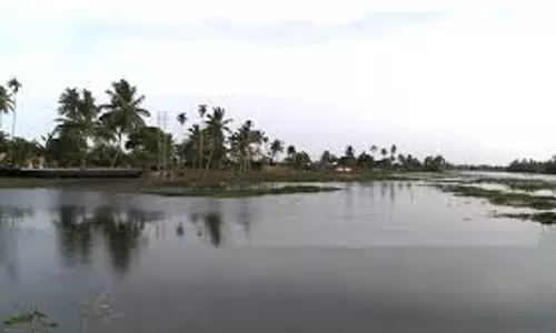 മെത്രാന് കായലില് എട്ടു വര്ഷത്തിനുശേഷം നെല്കൃഷി മെത്രാന് കായലില് എട്ടു വര്ഷത്തിനുശേഷം നെല്കൃഷി