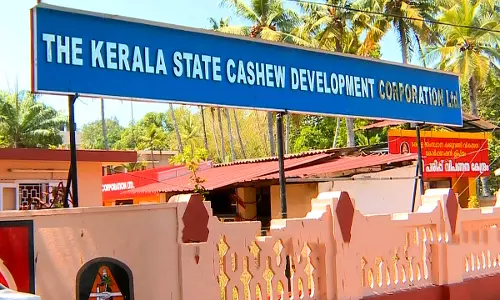 കൂലി നല്കാന് പണമില്ല: കശുവണ്ടി വ്യവസായം പ്രതിസന്ധിയില് കൂലി നല്കാന് പണമില്ല: കശുവണ്ടി വ്യവസായം പ്രതിസന്ധിയില്