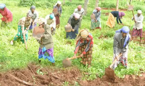 നോട്ട് ക്ഷാമം: കൂലി കിട്ടാതെ തൊഴിലാളികള്‍ വലയുന്നു