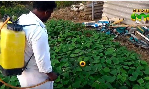 നോട്ട് പ്രതിസന്ധി: തമിഴ്നാട്ടിലെ കര്‍ഷകര്‍ ദുരിതത്തില്‍