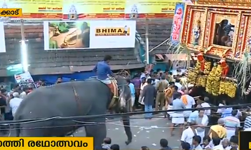 കല്‍പ്പാത്തിയില്‍ രഥം തള്ളാന്‍ ആനയെ ഉപയോഗിച്ച സംഭവത്തില്‍ അന്വേഷണം