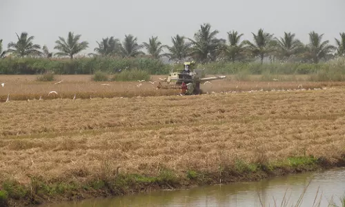 തൃശൂരില്‍ കോള്‍പ്പാടം നികത്താന്‍ നീക്കം