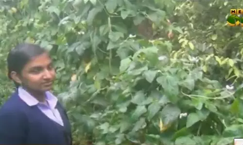 ഇടുക്കിയിലെ മിടുമിടുക്കി ഇടുക്കിയിലെ മിടുമിടുക്കി