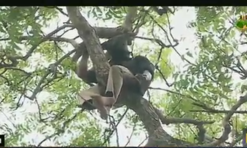 ആത്മഹത്യാ ഭീഷണിയുമായി പിഎസ്‍സി റാങ്ക് ഹോള്‍ഡേഴ്സ്