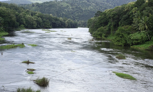 പമ്പ വരള്‍ച്ചയുടെ പിടിയില്‍