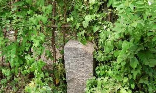 സംസ്ഥാനത്ത് റീസർവേ പുനരാരംഭിക്കും