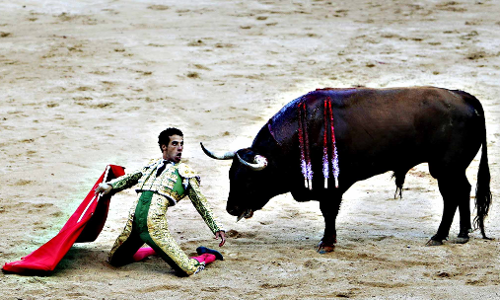 കാളപ്പോരിനെതിരെ കൊളംബിയയില്‍ പ്രതിഷേധം ശക്തം