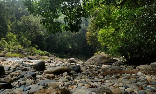 വന്യജീവികളും ദാഹിച്ചുവലയുന്നു; കുടിവെള്ളവുമായി വനംവകുപ്പ്