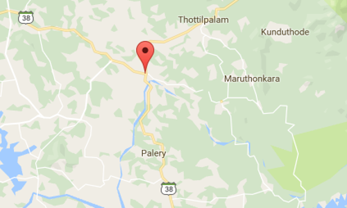 കുറ്റ്യാടിയില്‍ പുലിയിറങ്ങി; ജനങ്ങള്‍ ആശങ്കയില്‍