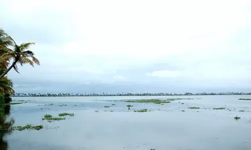 മെത്രാന്‍ കായലില്‍ കൃഷിയിറക്കും