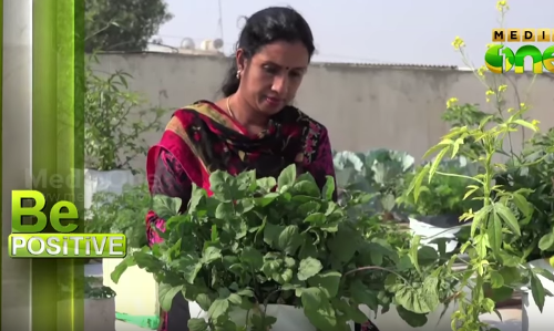 മണ്ണൊരുക്കാന്‍ കരിയിലകള്‍; ഖത്തറില്‍ കൃഷിയൊരുക്കി മലയാളി വീട്ടമ്മ