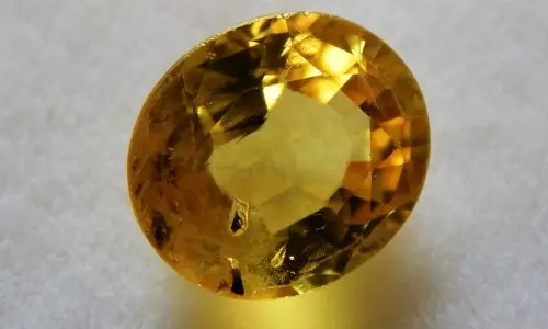 യൂറോയും പുഷ്യരാഗവും കുറഞ്ഞ വിലക്ക് നല്‍കാമെന്ന് വാഗ്ദാനം ചെയ്ത് തട്ടിപ്പ് നടത്തിയ ദമ്പതികള്‍ പിടിയില്‍