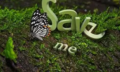 പ്രകൃതിയെ സംരക്ഷിക്കണമെന്ന് ഓര്‍മിപ്പിച്ച് വീണ്ടുമൊരു ദിനം