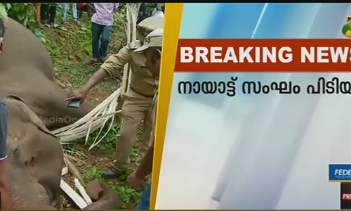 വയനാട്ടില്‍ വേട്ടസംഘം പിടിയില്‍