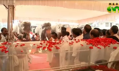 ആനപ്രേമിക്ക് ആനകളുടെ അന്തിമോപചാരം