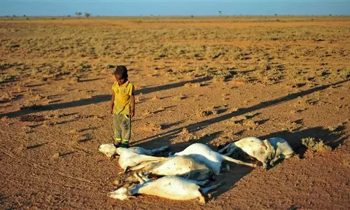 സൊമാലിയയില്‍ 26 പേര്‍ പട്ടിണികിടന്ന് മരിച്ചു