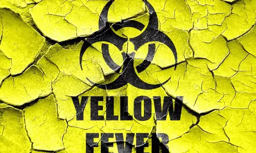 പീതജ്വരം വ്യാപകമായി പടരുന്നതോടെ പ്രതിരോധ പ്രവര്‍ത്തനങ്ങള്‍ ഊര്‍ജിതമാക്കി ബ്രസീല്‍