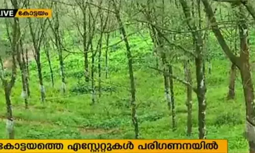 ശബരിമല വിമാനത്താവള പദ്ധതിക്ക് കോട്ടയത്തെ എസ്‌റ്റേറ്റുകള്‍ പരിഗണനയില്‍