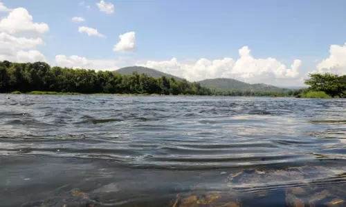 പെരിയാര് സംരക്ഷണത്തിനായി വേറിട്ടൊരു സമരം പെരിയാര് സംരക്ഷണത്തിനായി വേറിട്ടൊരു സമരം